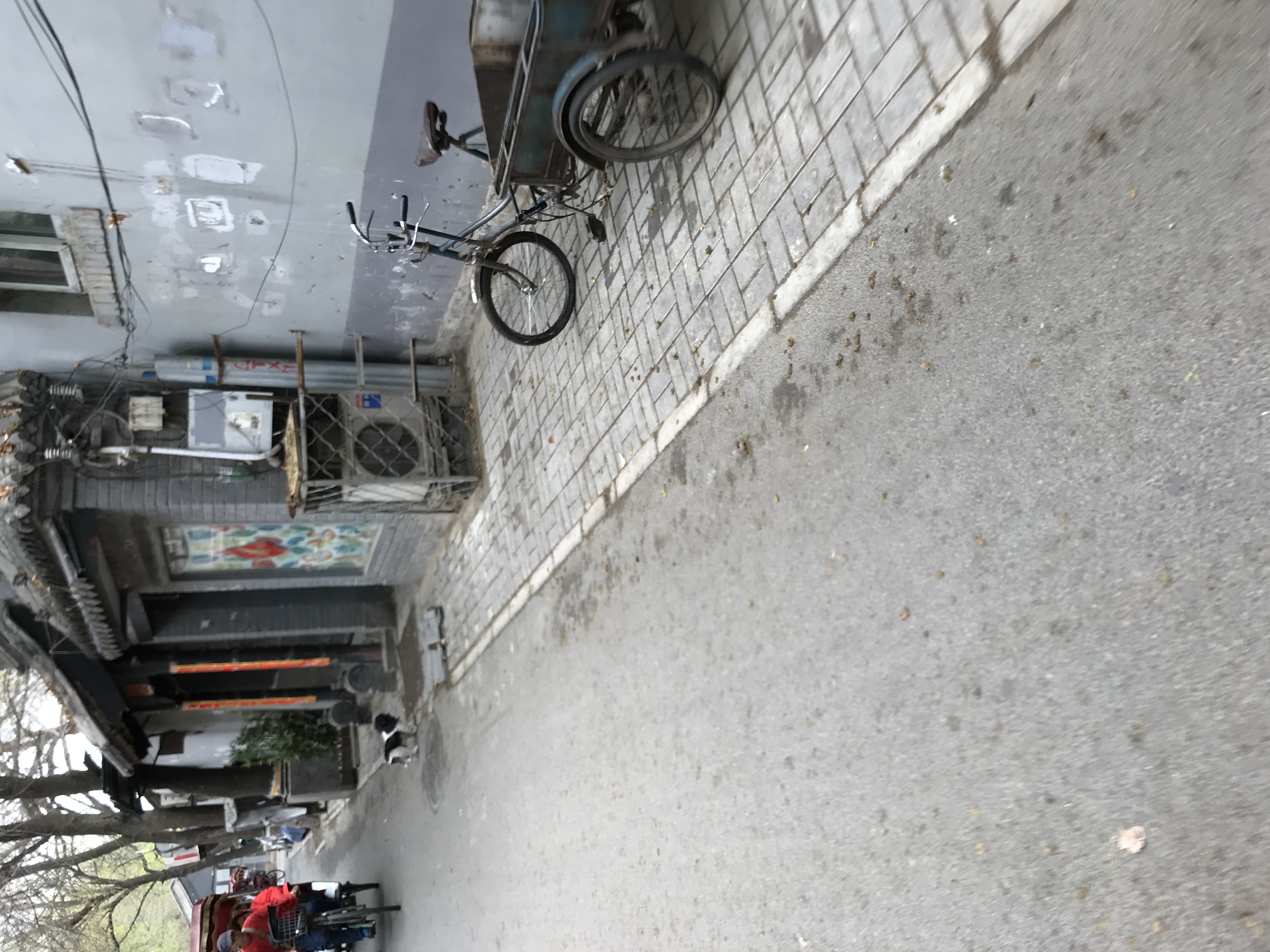 ./2018/03 - Viking China/10 - Hutong/IMG_5947.JPG